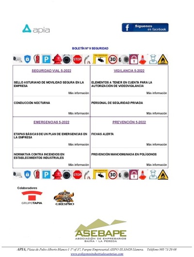Boletín seguridad nº 29
