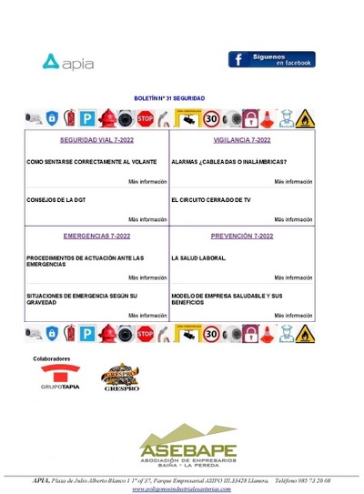 Boletín seguridad nº 31